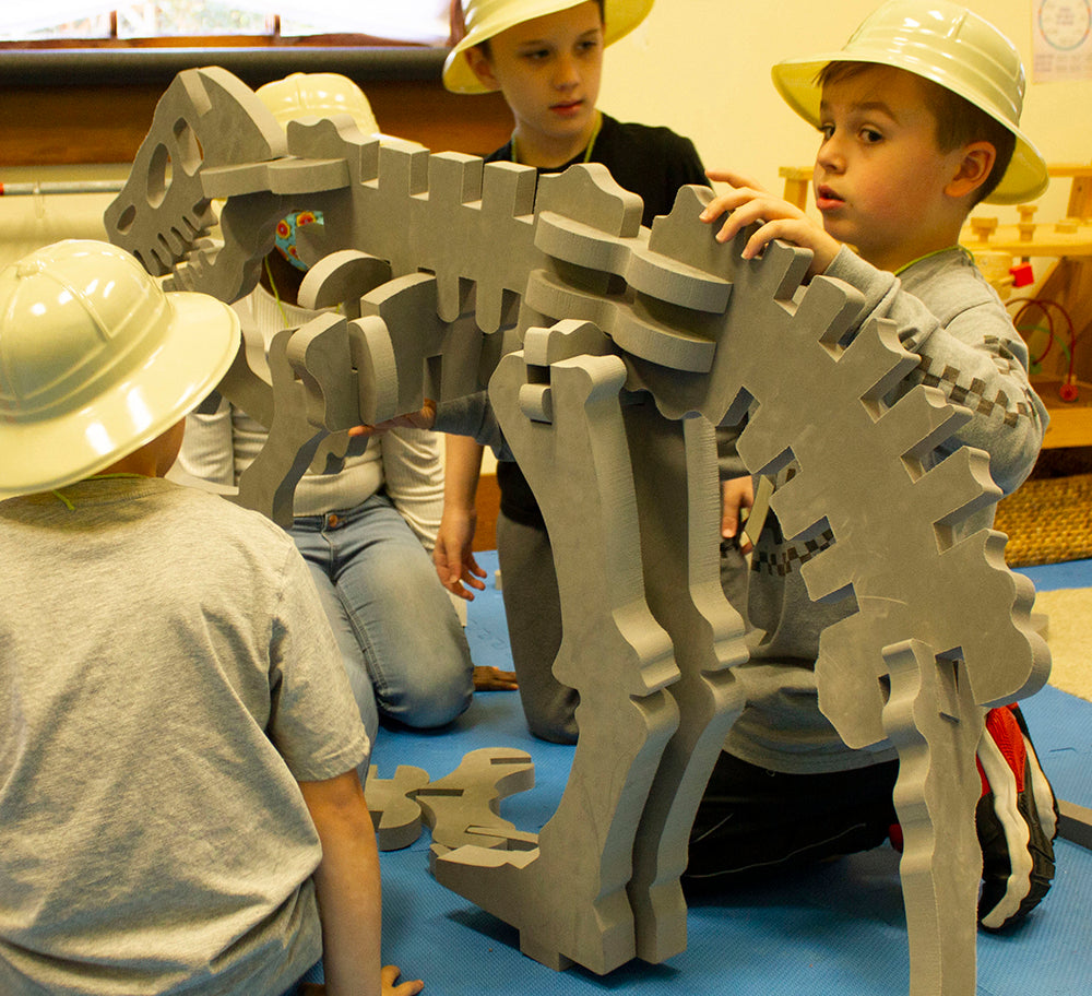 Large Gray Dino Bones
