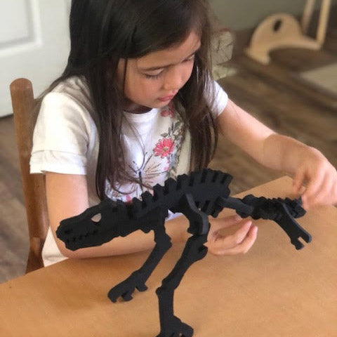 Tabletop Dino Bones