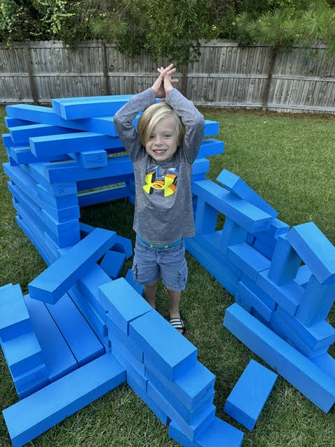Blue Brick Building Blocks