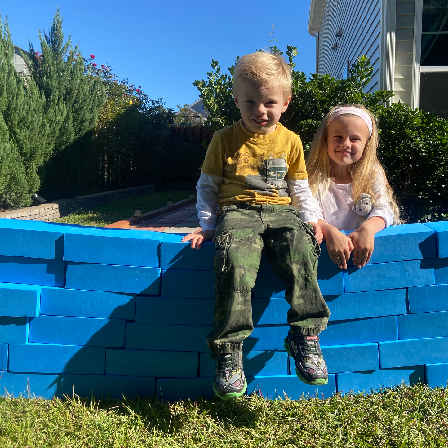 Blue Brick Blocks