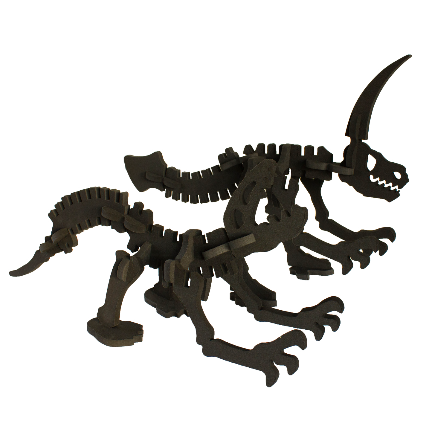 Medium Dino Bones